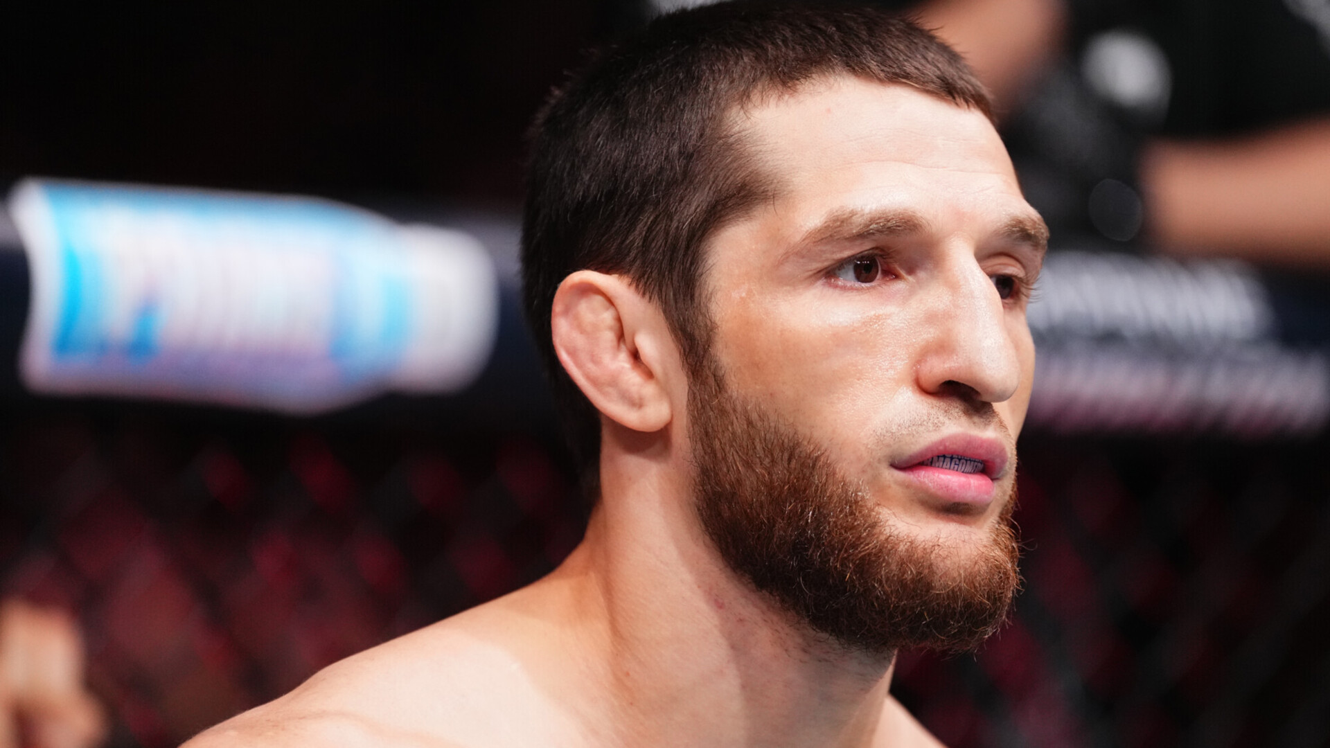 Уланбеков проиграл Хоригучи удушением на турнире UFC в Катаре Уланбеков проиграл Хоригучи удушением на турнире UFC в Катаре